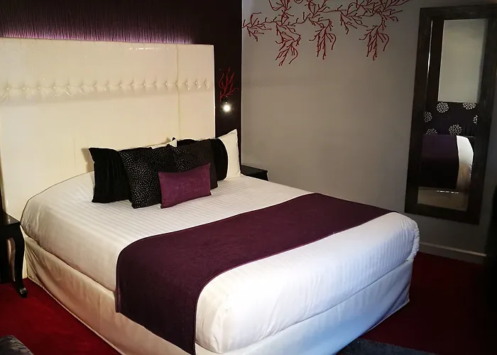 Nyx Independant Centre Gare 3* 佩皮尼昂